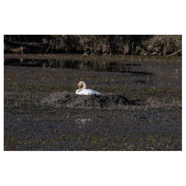 PHOTO84, CLUB, 84 , LUBERON